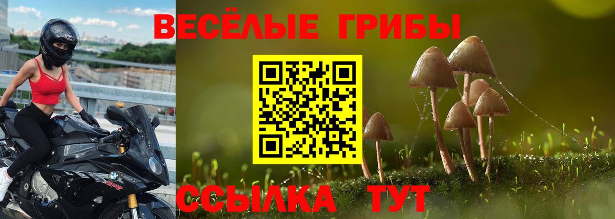 Углич  Псилоцибиновые грибы Psilocybe  Вход с VPN  Галлюциногенные грибы прущие грибы 